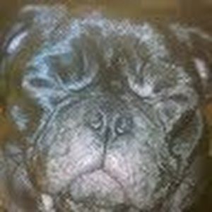 Meet your Posher, Tamela